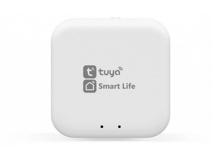 Конвертер Wi-Fi для смартфонов и планшетов Ambrella Light GL GL1920