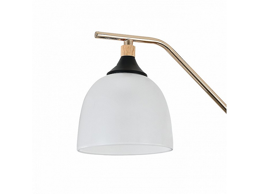 Подвесная люстра Escada Actinidia 2123/3P