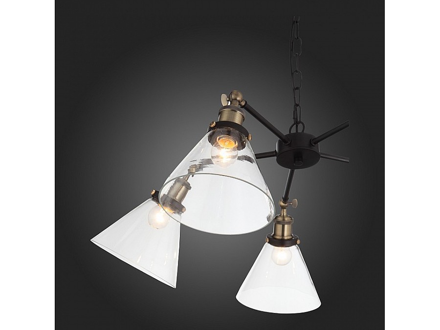 Подвесная люстра ST-Luce Evoluto SL237.413.05