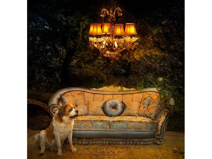 Подвесная люстра Lightstar Nativo 715067