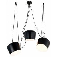 Подвесная люстра EVOLUCE TRIESTE SLE120643-03.1