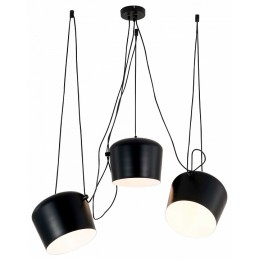 Подвесная люстра EVOLUCE TRIESTE SLE120643-03.1