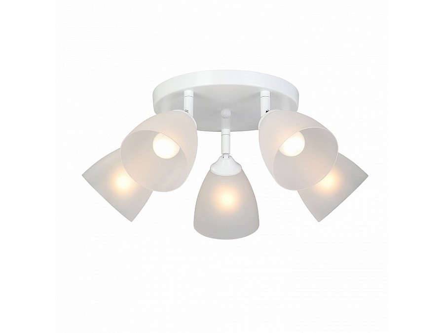 Потолочная люстра Vitaluce V4355 V4355-0/5PL