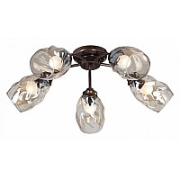 Потолочная люстра Vitaluce 4929 V4929-7/5PL