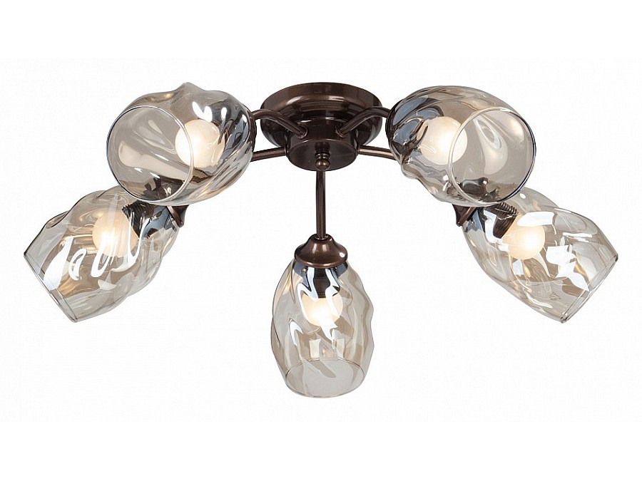 Потолочная люстра Vitaluce 4929 V4929-7/5PL