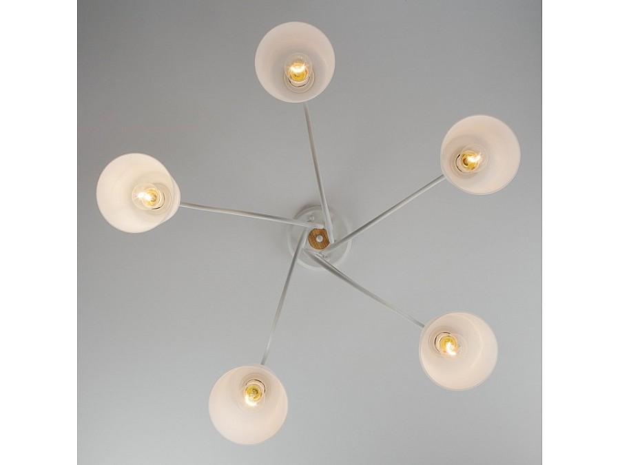 Потолочная люстра Eurosvet Betty 70062/5 белый