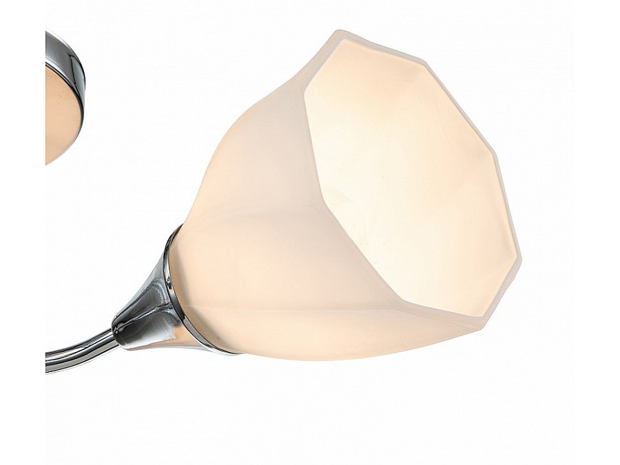 Потолочная люстра Escada Camellia 664/3P