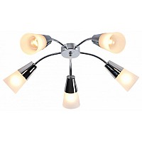 Потолочная люстра Escada Aquilegia 1100/5P Chrome