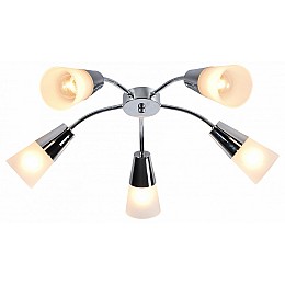 Потолочная люстра Escada Aquilegia 1100/5P Chrome