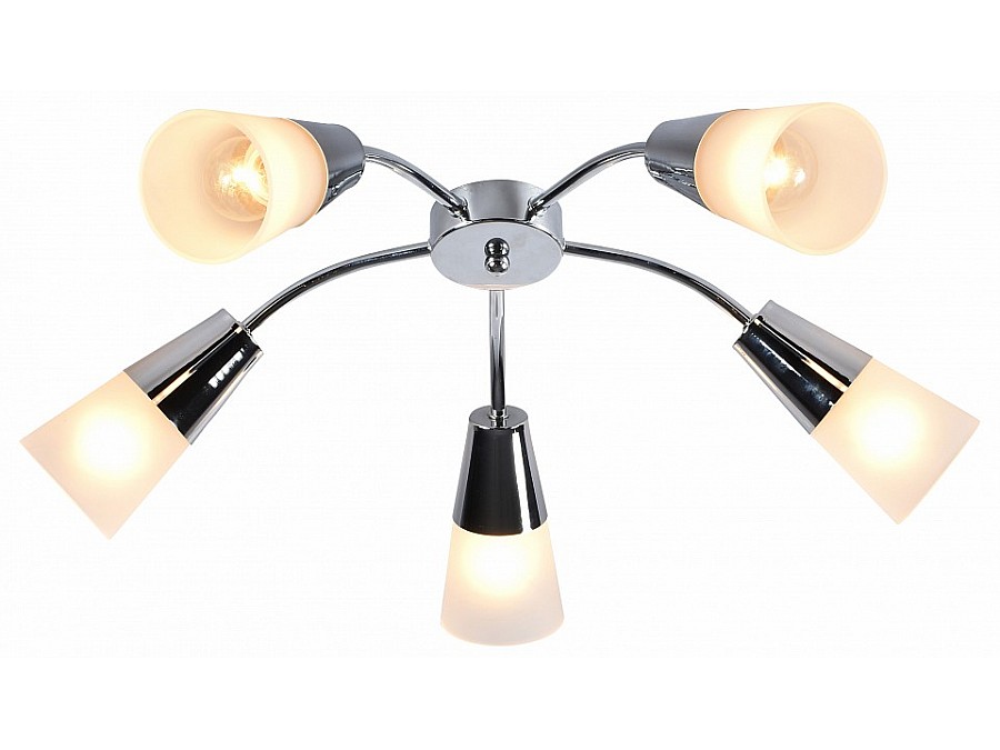 Потолочная люстра Escada Aquilegia 1100/5P Chrome