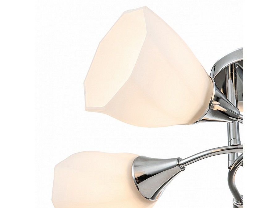 Потолочная люстра Escada Camellia 664/5P
