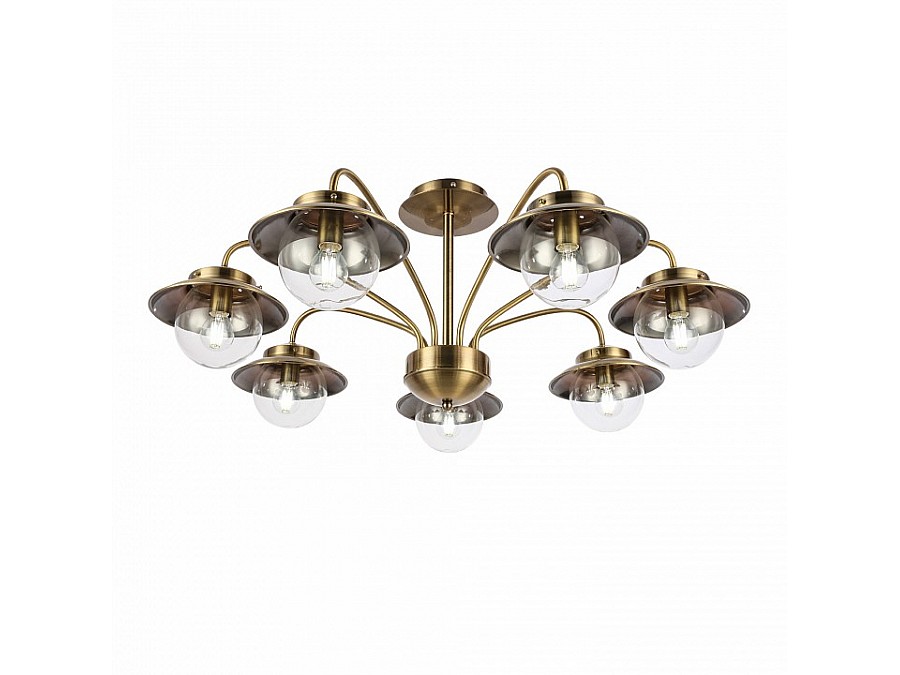 Потолочная люстра EVOLUCE Garonni SLE110102-07