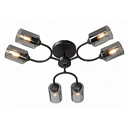 Потолочная люстра Vitaluce V2823 V2823-1/6PL