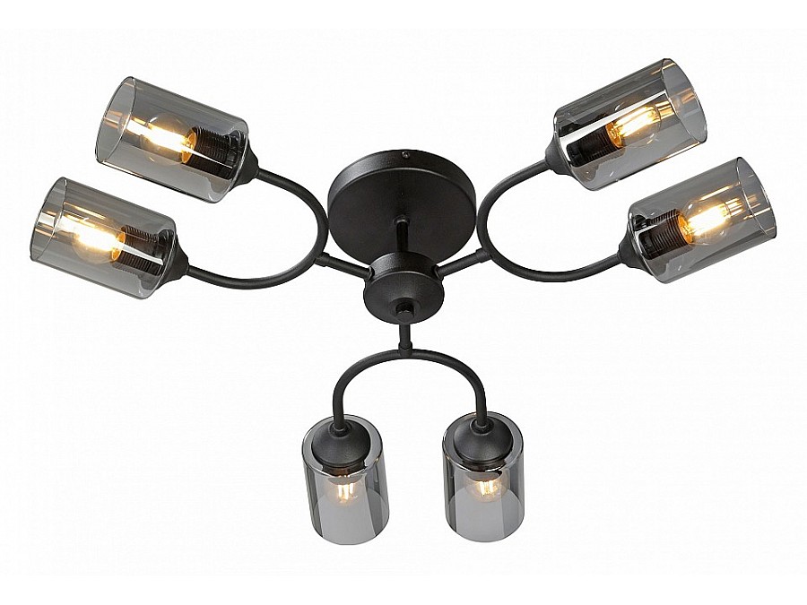 Потолочная люстра Vitaluce V2823 V2823-1/6PL