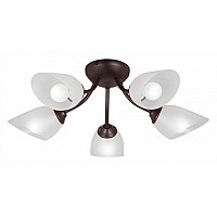 Потолочная люстра Vitaluce V3184 V3404/5PL