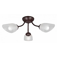 Потолочная люстра Vitaluce V3184 V3404/3PL