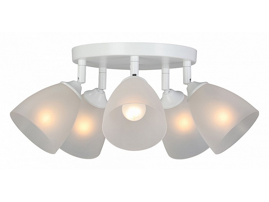 Потолочная люстра Vitaluce V4355 V4355-0/5PL
