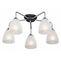 Потолочная люстра Vitaluce V4500 V4500-9/5PL