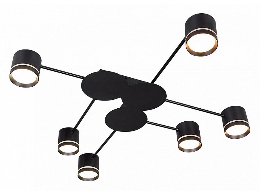 Потолочная люстра Arte Lamp Legacy A8024PL-6BK