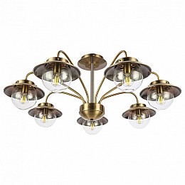 Потолочная люстра EVOLUCE Garonni SLE110102-07