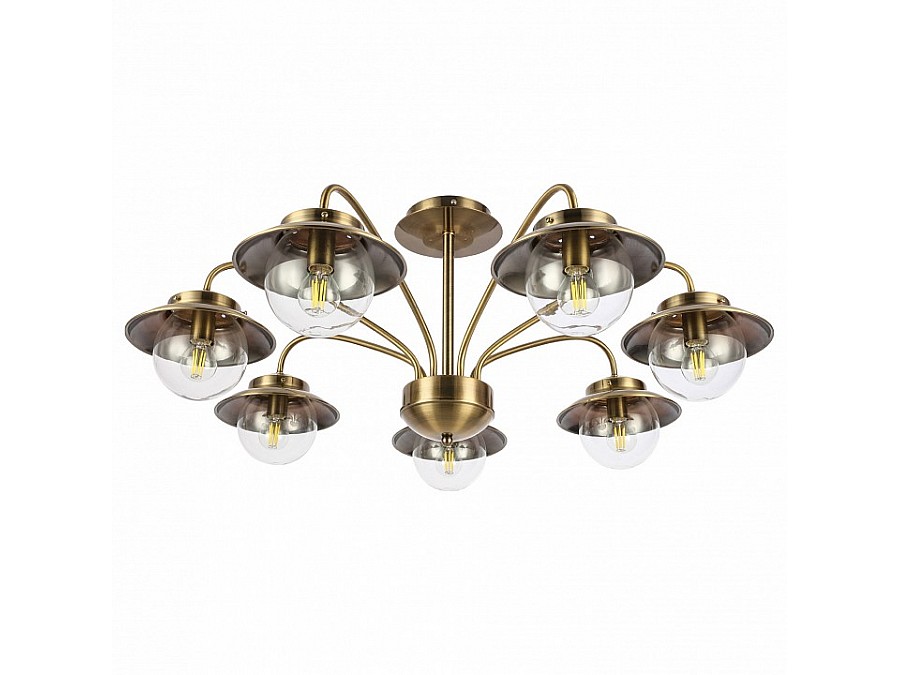 Потолочная люстра EVOLUCE Garonni SLE110102-07