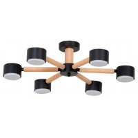 Потолочная люстра Arte Lamp TENDA A1624PL-6BK