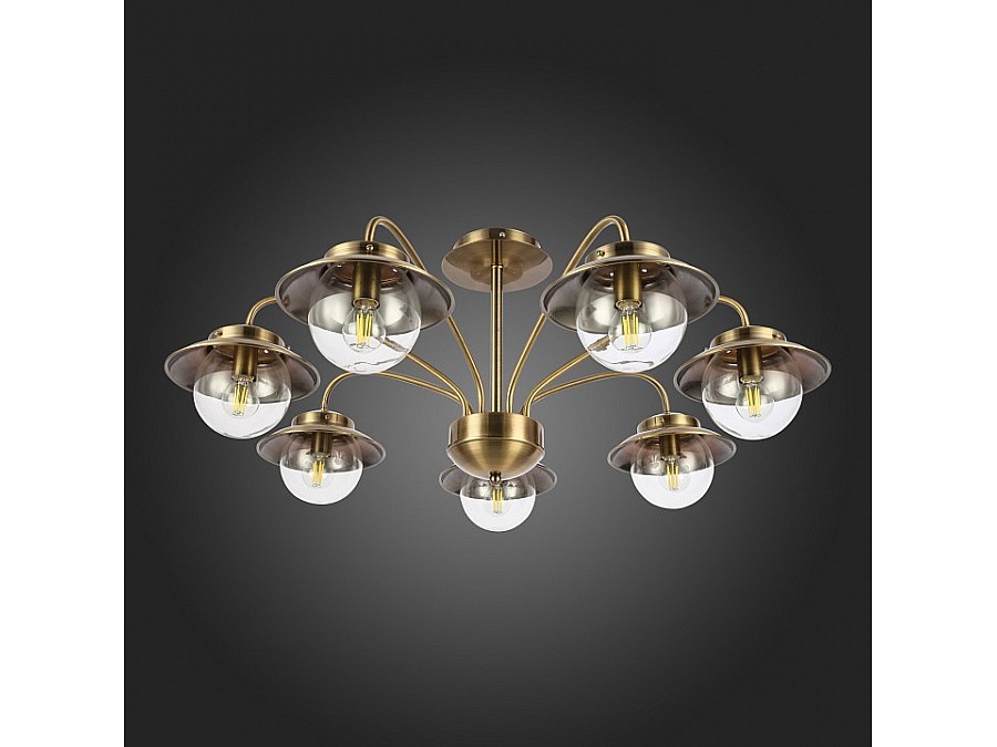 Потолочная люстра EVOLUCE Garonni SLE110102-07