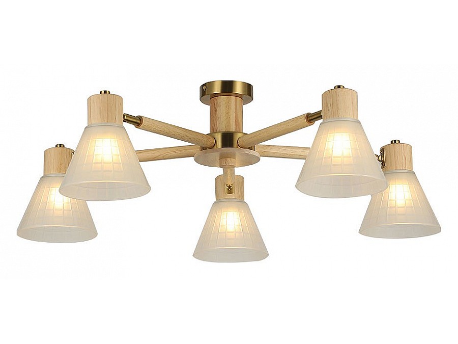 Потолочная люстра Arte Lamp Meleph A4096PL-5BR