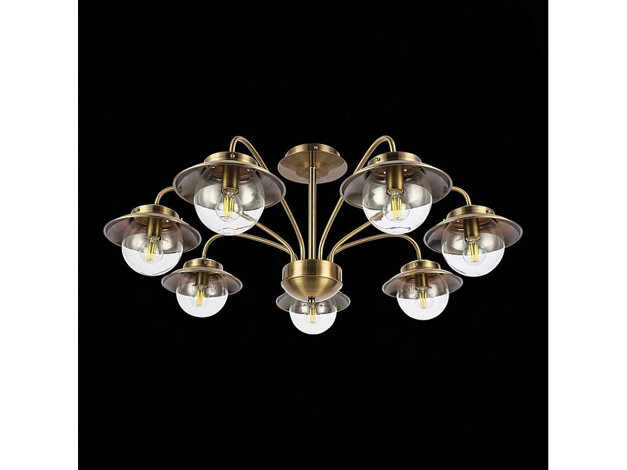 Потолочная люстра EVOLUCE Garonni SLE110102-07