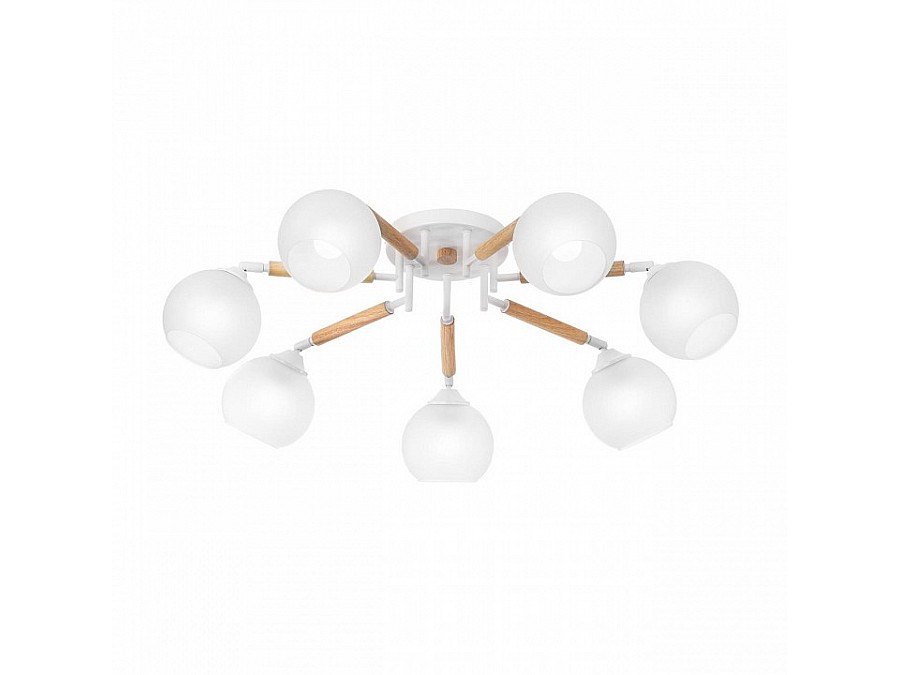 Потолочная люстра Citilux Tika CL133170