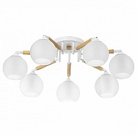 Потолочная люстра Citilux Tika CL133170