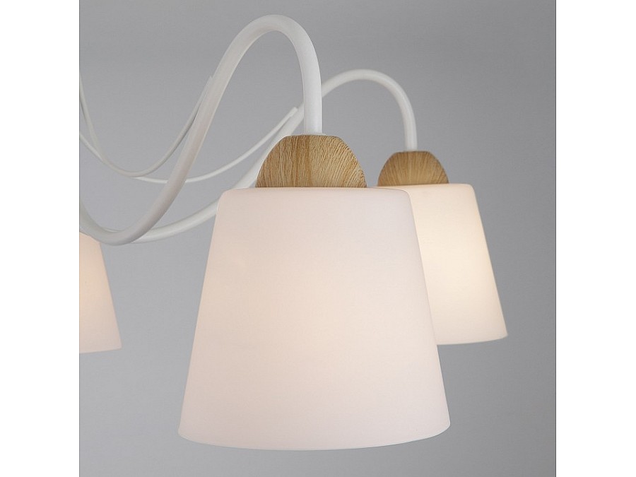 Потолочная люстра Eurosvet Betty 70062/5 белый