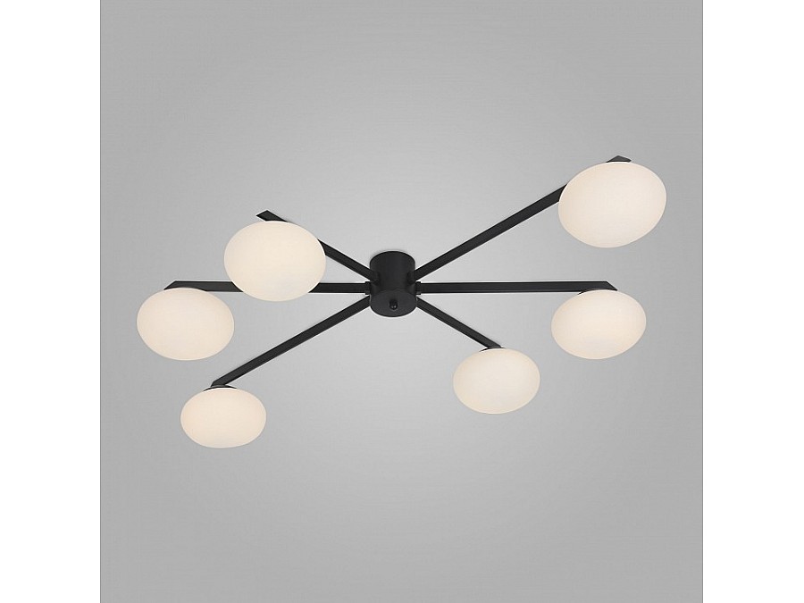 Потолочная люстра Eurosvet Opaline 70220/6 черный