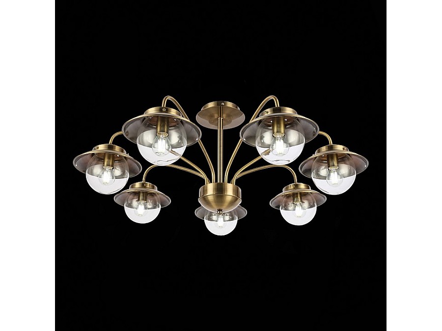 Потолочная люстра EVOLUCE Garonni SLE110102-07