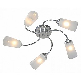 Потолочная люстра Vitaluce V2831 V2831-9/5PL