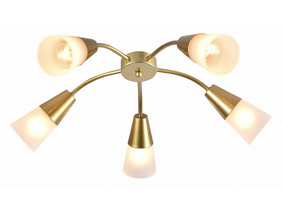 Потолочная люстра Escada Aquilegia 1100/5P Gold