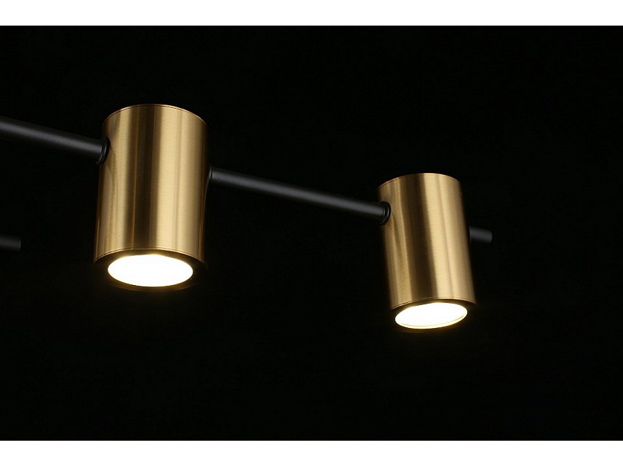 Потолочная люстра Aployt Elwisia APL.633.07.10