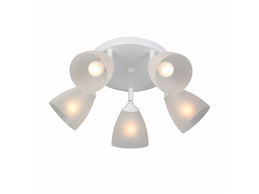 Потолочная люстра Vitaluce V4355 V4355-0/5PL