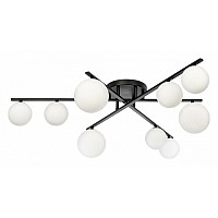 Потолочная люстра Citilux Glob CL209291