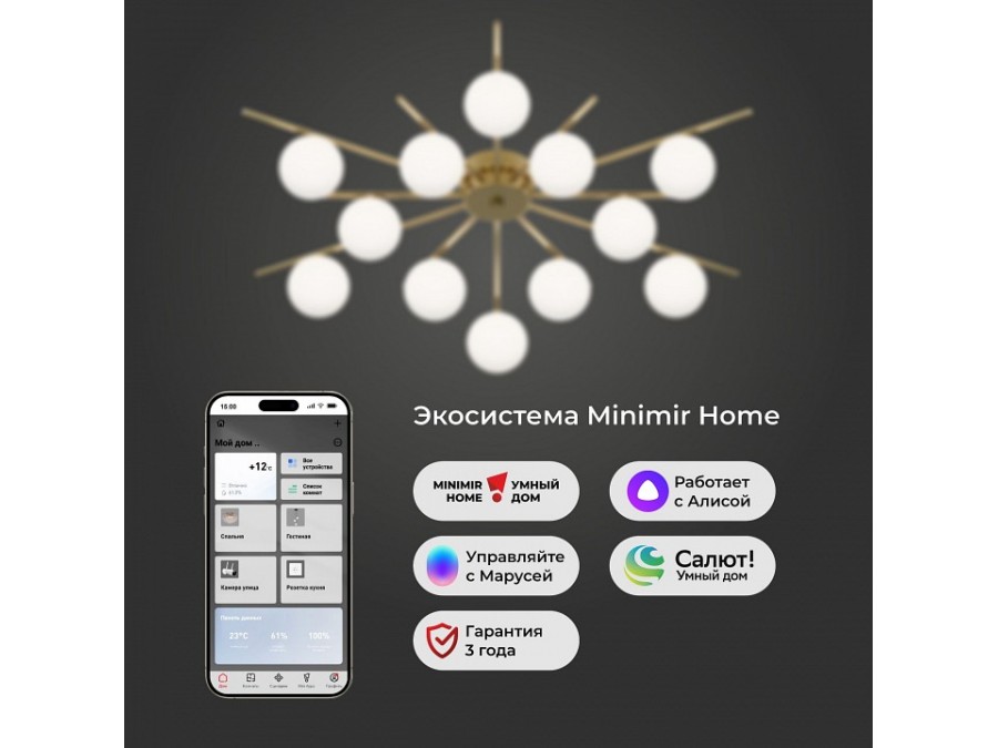 Потолочная люстра Eurosvet Sabina 302001/12