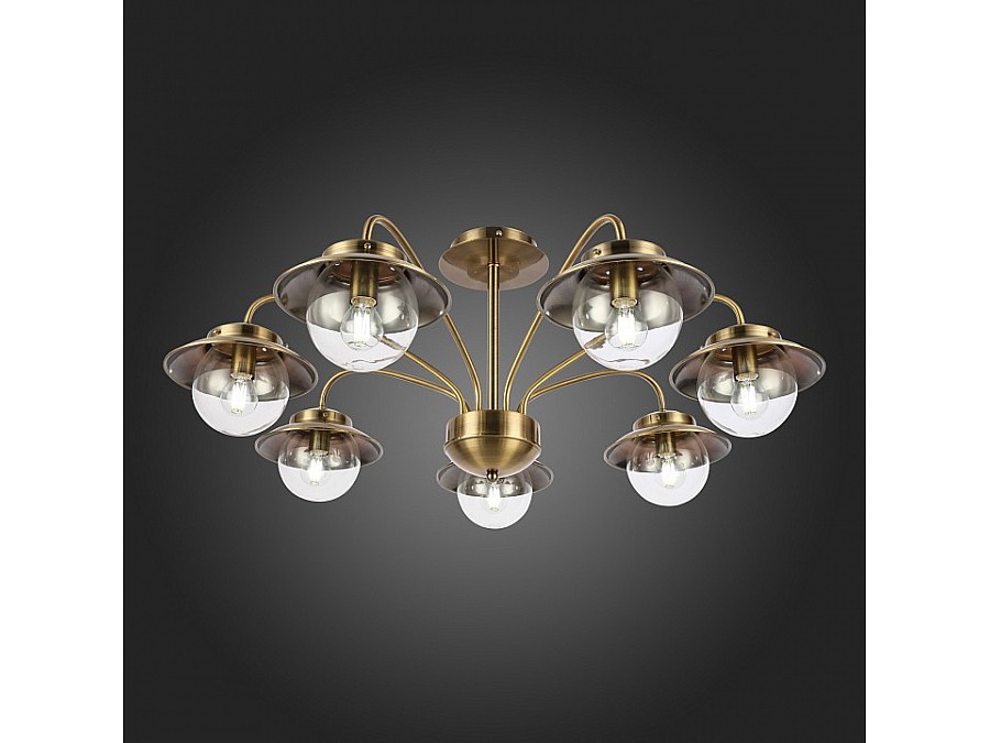 Потолочная люстра EVOLUCE Garonni SLE110102-07