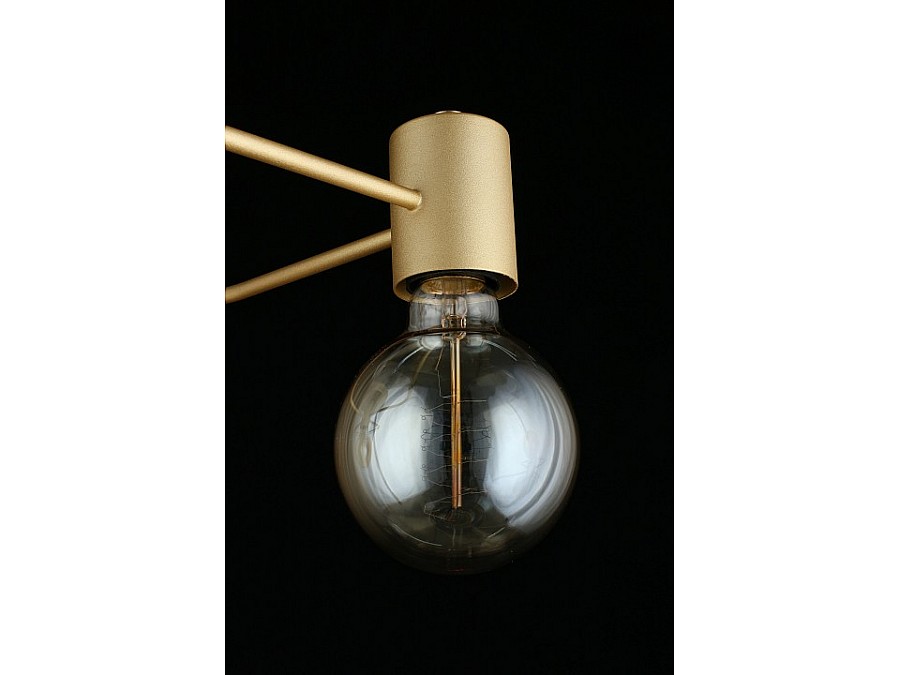 Потолочная люстра Aployt Elison APL.911.07.03