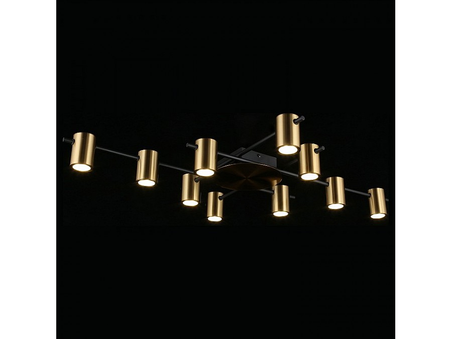 Потолочная люстра Aployt Elwisia APL.633.07.10