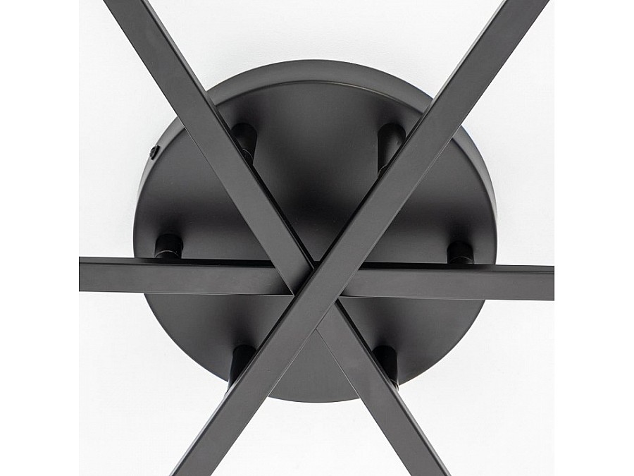 Потолочная люстра Citilux Glob CL209291