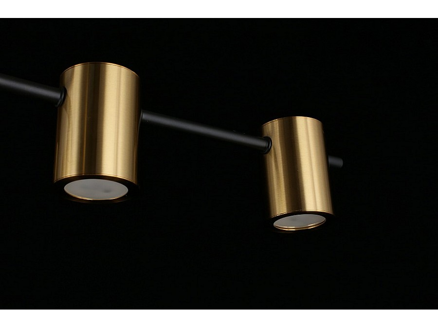 Потолочная люстра Aployt Elwisia APL.633.07.10