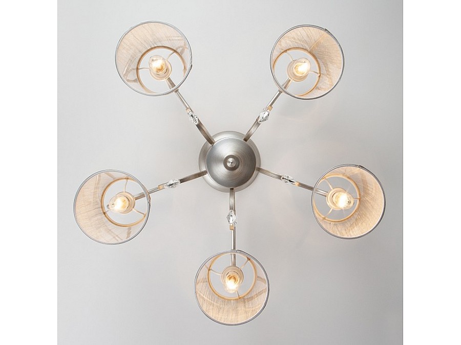 Потолочная люстра Eurosvet Liona 60065/5 серебро