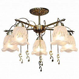 Потолочная люстра TopLight Delia TL1195X-05AB