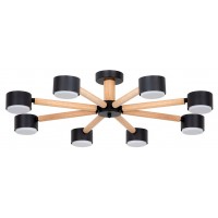 Потолочная люстра Arte Lamp TENDA A1624PL-8BK