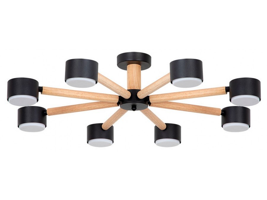 Потолочная люстра Arte Lamp TENDA A1624PL-8BK