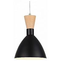 Подвесной светильник EVOLUCE VISTA SLE1256-403-01